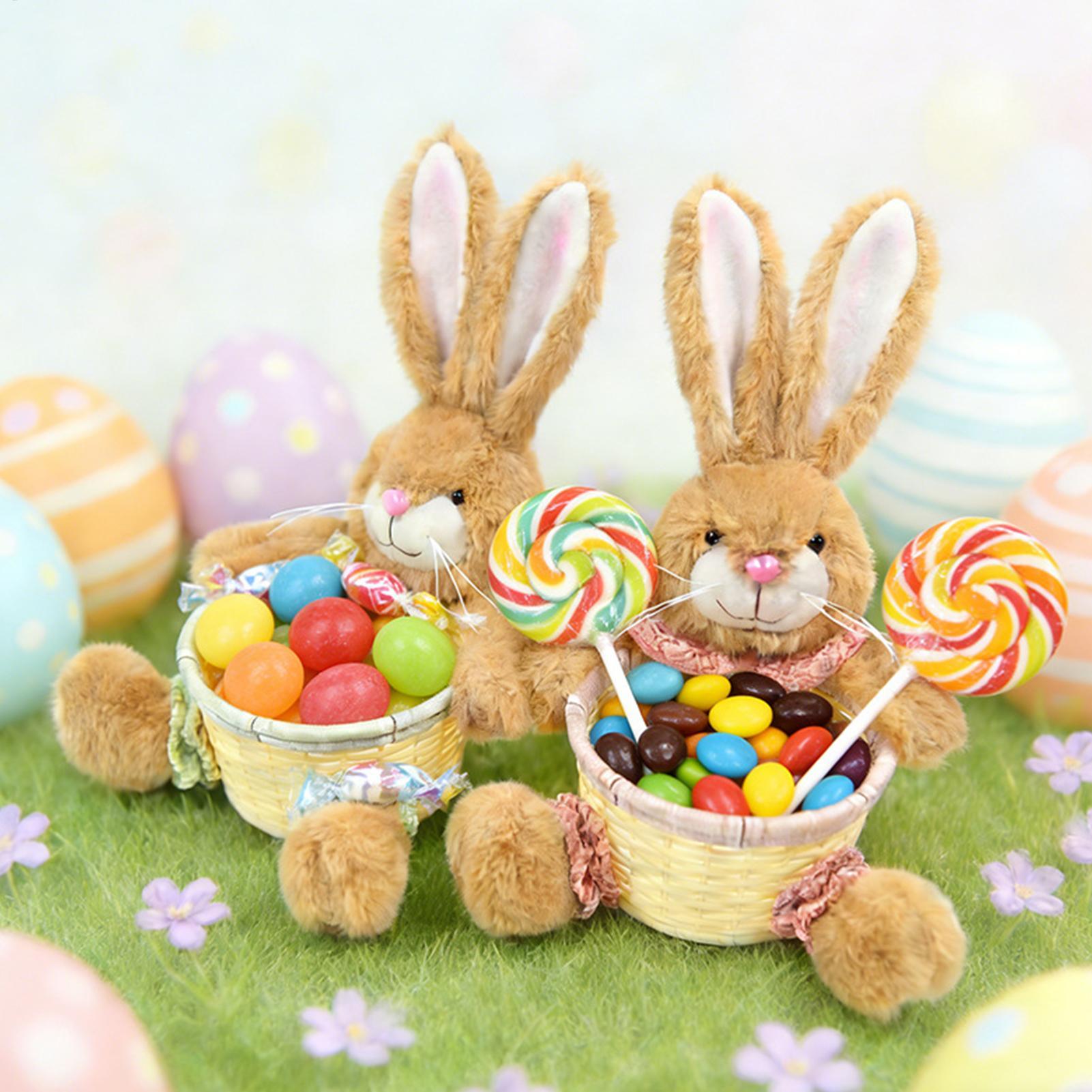 Easter Bunny Basket Rabbits Sh - Snacks Food Gift Baskets review and price