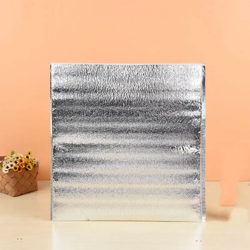 Aluminum Foil Cooler Bag Insul - Food Snacks Delivery review and price
