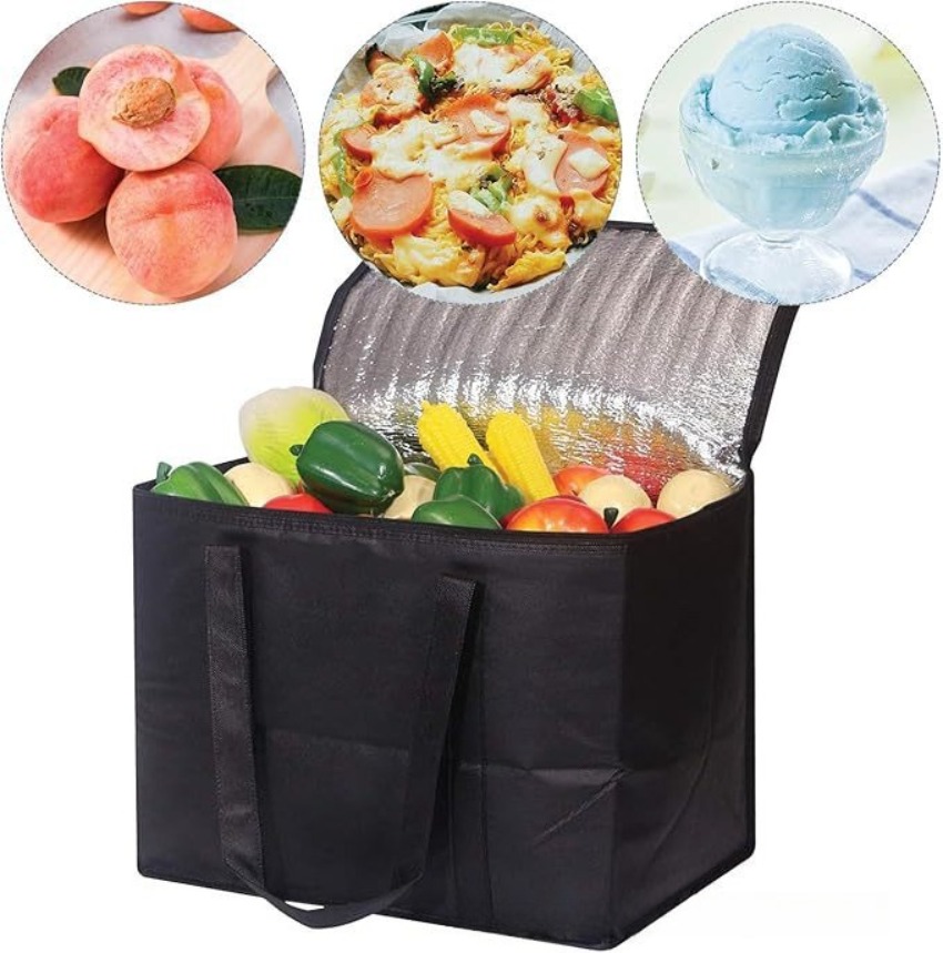 Portable Lunch Cooler Bag Fold - Food Snacks Delivery review and price